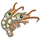 Prawn-icon