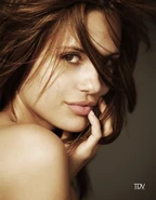 Torreydevitto885