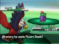 Pajáro Osado NB