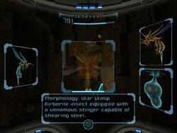 War Wasp Scan Images Dolphin HD
