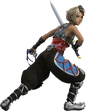 Vaan RW CG