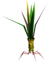 Mandragora FF7
