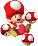 Mushroom Toad SMW3D