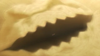 Destructive Sand Burial
