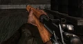Lee-Enfield CoD3
