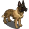 Dutch Shepherd-icon