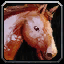 Mountjournalportrait.png