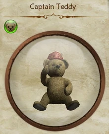 Captain Teddy