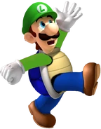 ShellLuigi
