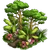 Rainforest Event-icon