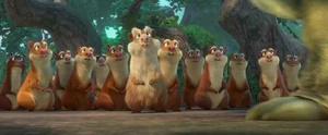 Hyrax group (main)