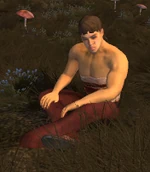 NPC Wounded Guard