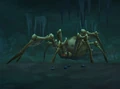 EchowebWidow.jpg