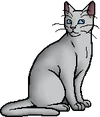 Willowpelt.warrior