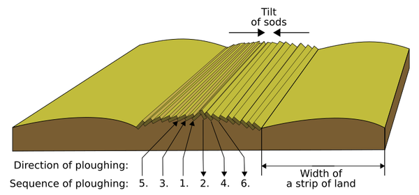 Ridge and furrow-en