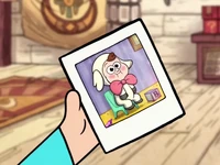 Picture of Dipper in Lamb Costume