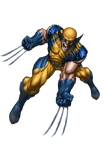 Wolverine Marvel XP