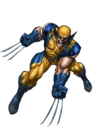 Wolverine Marvel XP