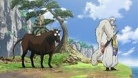 Totosai talks to Sesshomaru