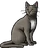 Thrushpelt (TC).warrior