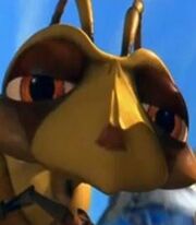 Muffy the wasp