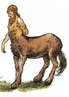 Roonwit