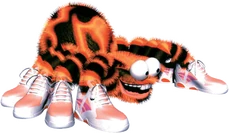 Squitter