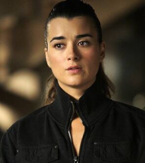Ncis-saison-7-ziva-david 26311 w460.jpg (18 KB)