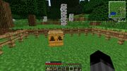 PlacedApiary