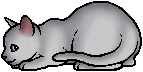 Willowpelt.kit.png (7 KB) Willowpelt.kit