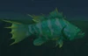 EnormousCattailGrouper