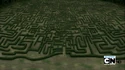 Normal Image13256fbvgfrtooooooo