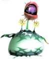 Creepingchrysanthemum.jpg