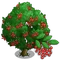 Red Elderberry Tree-icon