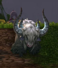 ValleyYak