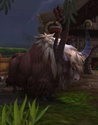SturdyYak