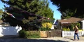 20120507 guar grab 03.png