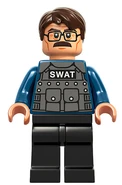 SwatGordonFig1
