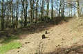 The New Lanark Graveyard.jpg