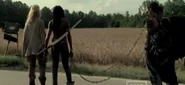 Michonne110