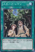 SnakeRain-DE02-JP-C