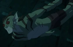 Lagoon Boy YJ