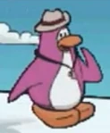 EP CP-EPF