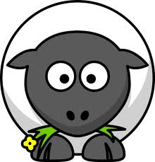 Sheepy