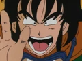 Yamcha Ready
