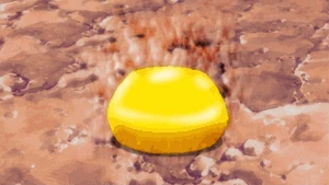 Toriko and Terry popcorn