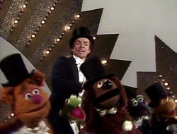 213 top hat
