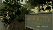 Woodbury3