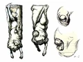 Image c17c2c051