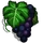 Pinot Noir-icon